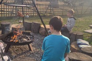 Zdjęcia z Alpakowego Ogrodu
