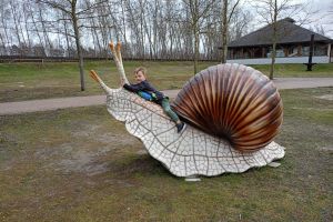 Zdjęcia z Parku dinozaurów Rogowo