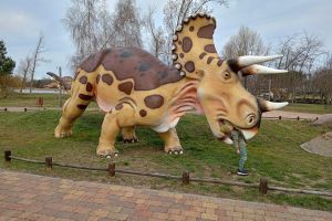 Zdjęcia z Parku dinozaurów Rogowo