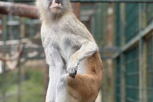 IMG_3762
